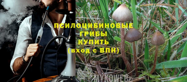 ALPHA PVP Ельня