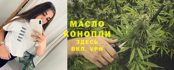 гидропоника Елабуга