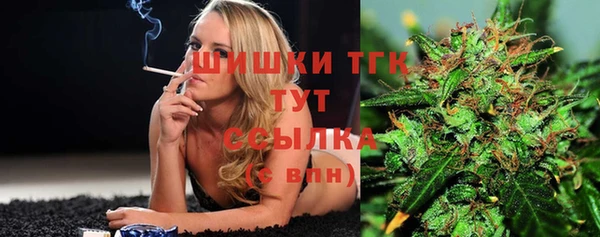 ALPHA PVP Ельня